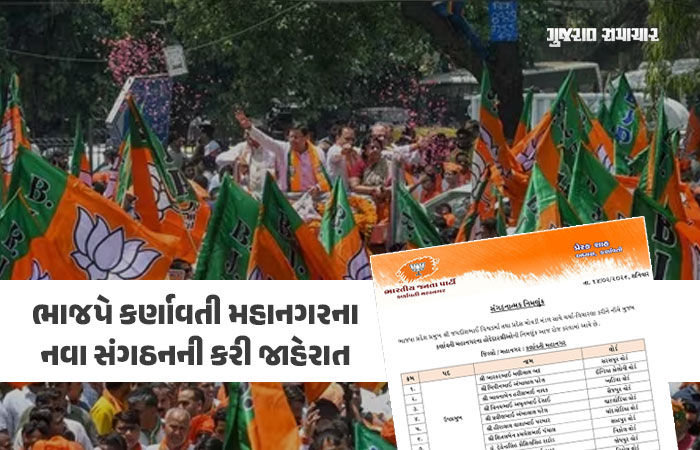 અમદાવાદ શહેર ભાજપ સંગઠનની જાહેરાત, કોને કઈ જવાબદારી સોંપાઈ, જુઓ લિસ્ટ
