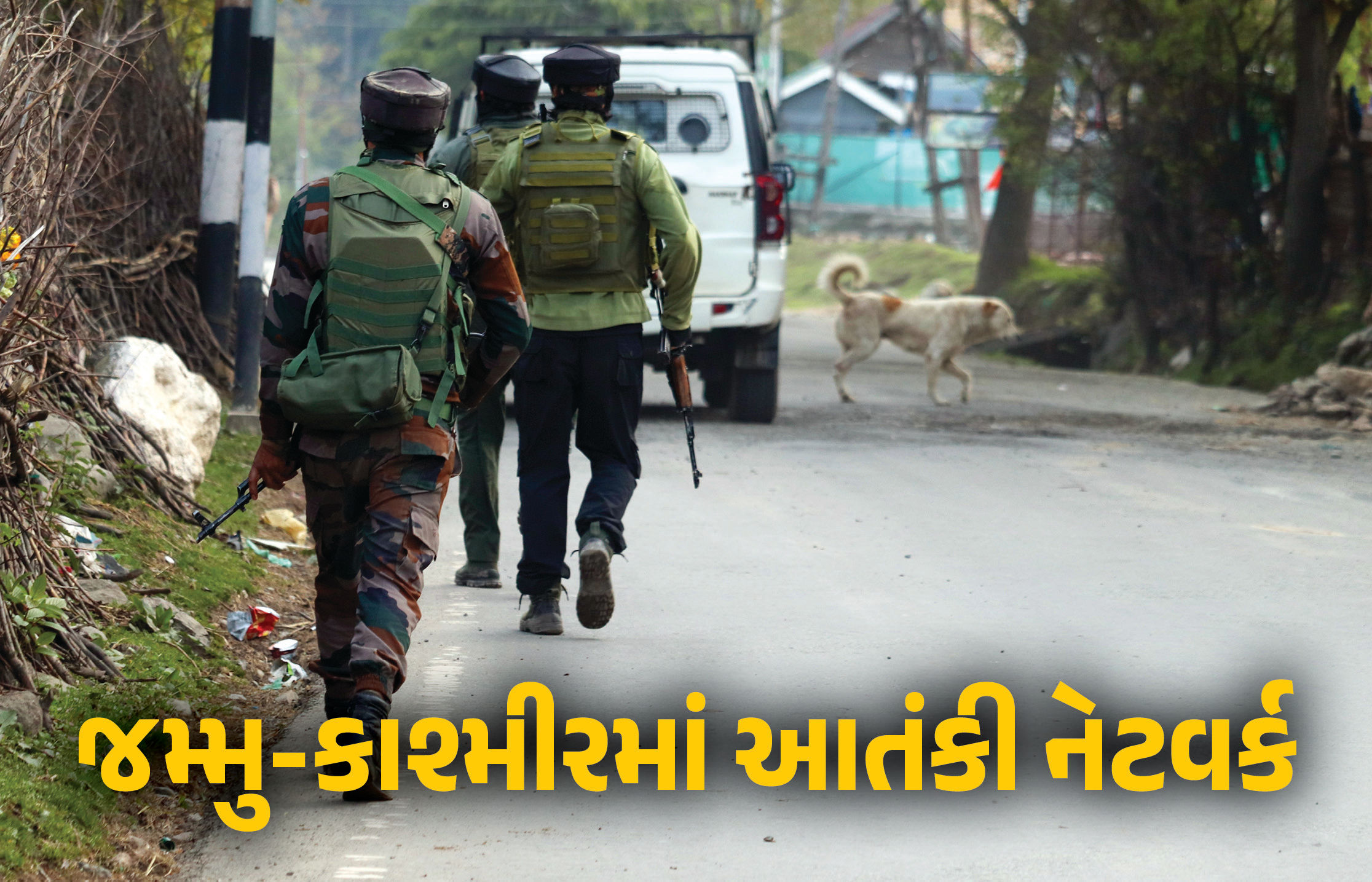 જમ્મુ-કાશ્મીરમાં પાકિસ્તાનથી સંચાલિત મોટા આતંકી નેટવર્કનો પર્દાફાશ, 10 દરોડામાં 10ની અટકાયત