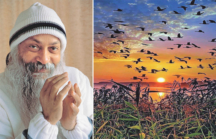 પાંખો જ વજનદાર બની જાય તો મુક્ત ગગનમાં વિહરી નથી શકાતું