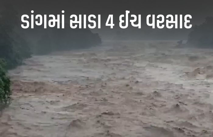 બીજા નોરતે પણ ગુજરાતમાં વરસાદ: ડાંગ જળબંબાકાર, નદીઓમાં ઘોડાપૂર, ઘરોમાં પાણી ઘૂસ્યા