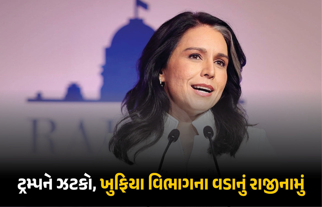 ખુફિયા વિભાગના વડા તુલસી ગબાર્ડે ટ્રમ્પને આપ્યો ઝટકો, કારણ સાથે પદ પરથી આપ્યું રાજીનામું