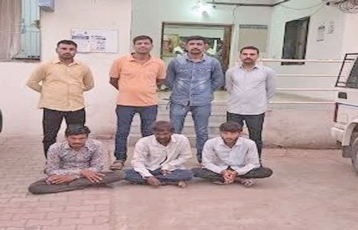 ખાનગી કંપનીમાંથી સોલાર પેનલની ચોરી કરનાર 3 તસ્કર ઝડપાયા
