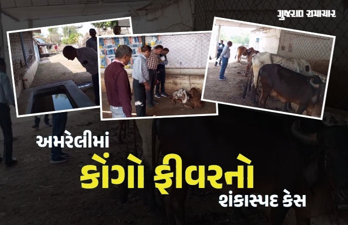 અમરેલી: માનવ મંદિર ખાતે કોંગો ફીવરનો શંકાસ્પદ કેસ, વિદ્યાર્થી સારવાર અર્થે અમદાવાદ ખસેડાયો