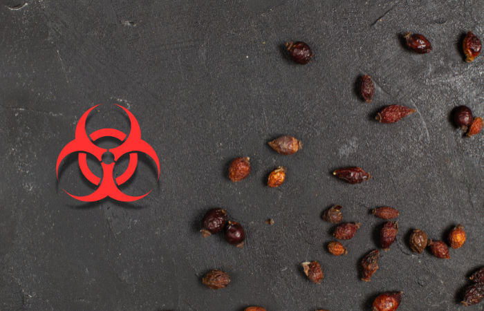 Gujarat ATS foils Hyderabad doctor’s bio-terror plot disguised as business trip