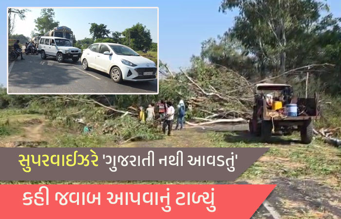નસવાડી-જબુગામ હાઇવે પર 'વિકાસ'ના નામે હાલાકી: આડેધડ વૃક્ષો કપાતા કલાકો સુધી ટ્રાફિક જામ, અધિકારીઓ 'ગૂમ'