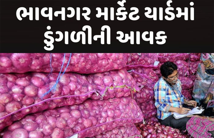 ભાવનગર યાર્ડમાં ભાવની વધ-ઘટ વચ્ચે 10 દિવસમાં ડુંગળીની 3.35 લાખ ગુણી ઉતરી