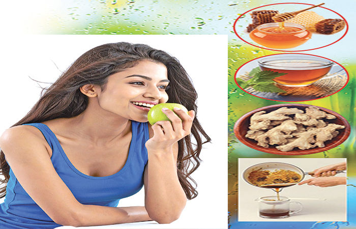 ચોમાસામાં ડાયટીંગ : અષાઢથી આસો માસમાં શું ખાવું, શું નહિં