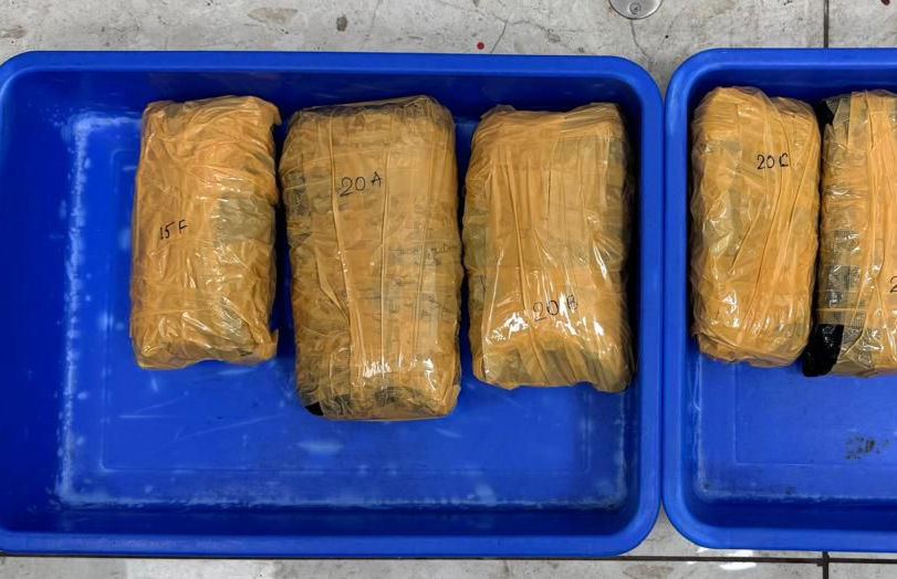Customs seize 3.75 kg hydroponic ganja worth ₹3.75 lakh at Surat airport