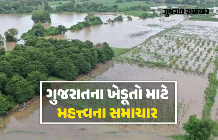 ખેડૂતો માટે ટૂંક સમયમાં વિશેષ આર્થિક પેકેજ જાહેર થાય તેવી શક્યતા, ગાંધીનગરમાં બેઠકોનો ધમધમાટ