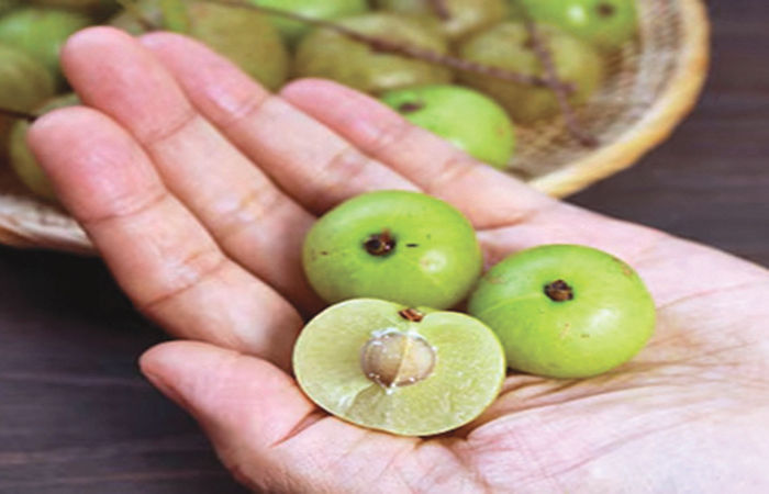 અમૃતફળ - આમળાં                                 .