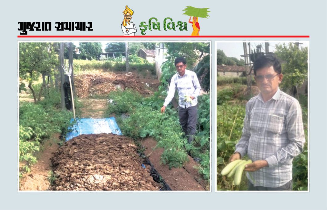 માત્ર બે વીઘામાં ખંતથી કરાયેલી પ્રાકૃતિક ખેતી, પશુપાલનદ્વારા રૂ. 5.87 લાખની ચોખ્ખી આવક
