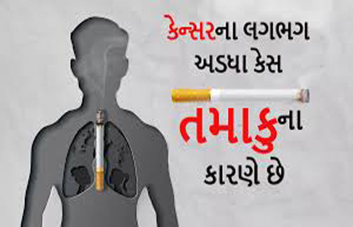 તમાકુ નિયંત્રણ અધિનિયમનો ભંગ કરતા 256 લોકો પકડાયા