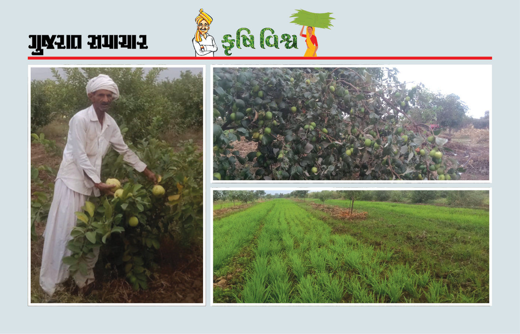 સ્વાસ્થ્ય માટે લેવાયેલો એક નિર્ણય જમીન અને આવનારી પેઢી માટે આશીર્વાદ બન્યો