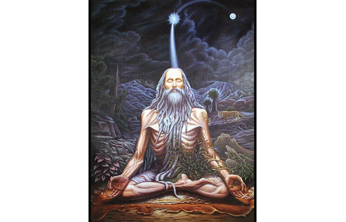 યોગી વરદાચરણની અલૌકિક યોગસિદ્ધિઓ