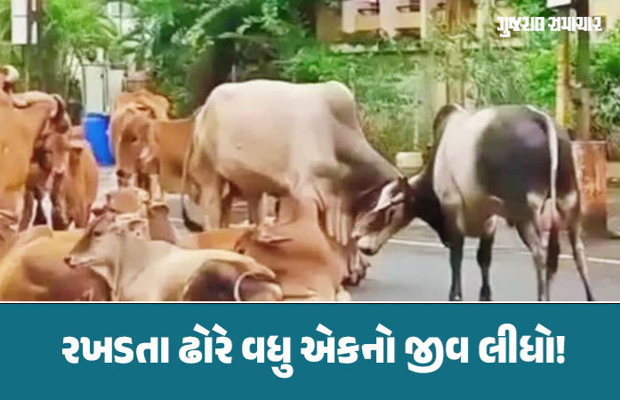 ભાવનગરમાં રખડતા ઢોરના કારણે 21 વર્ષના જૂવાનધોધ દીકરાનું કરૂણ મોત, તંત્રને એક જ સવાલ આખરે ક્યાં સુધી..?