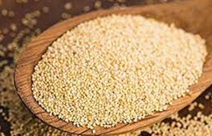 કેલ્શિયમથી ભરપૂર ખસખસના છે અનેક ફાયદા, તેના વિશે જાણી આજથી ઉપયોગમાં લેવા લાગશો
