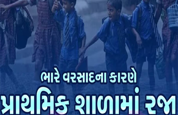 ભારે વરસાદની સ્થિતિના પગલે આજે જિલ્લાભરની શાળાઓમાં રજા જાહેર