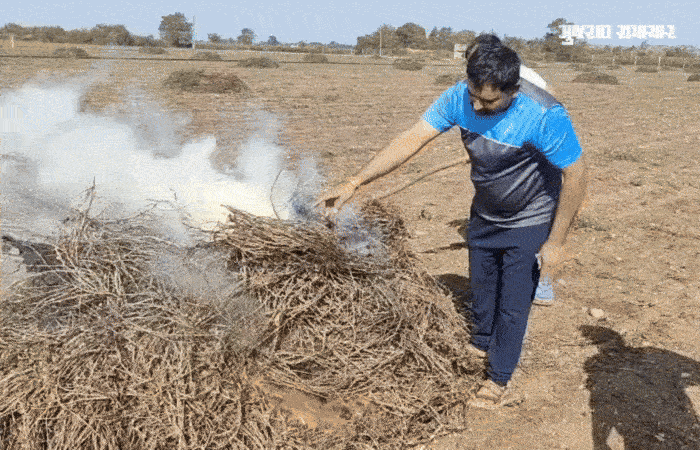 VIDEO: 'પશુ પણ નથી ખાતા...', જાફરાબાદ-સાવરકુંડલાના ખેડૂતોએ માવઠાથી નિષ્ફળ ગયેલા મગફળીના પાથરા સળગાવ્યા
