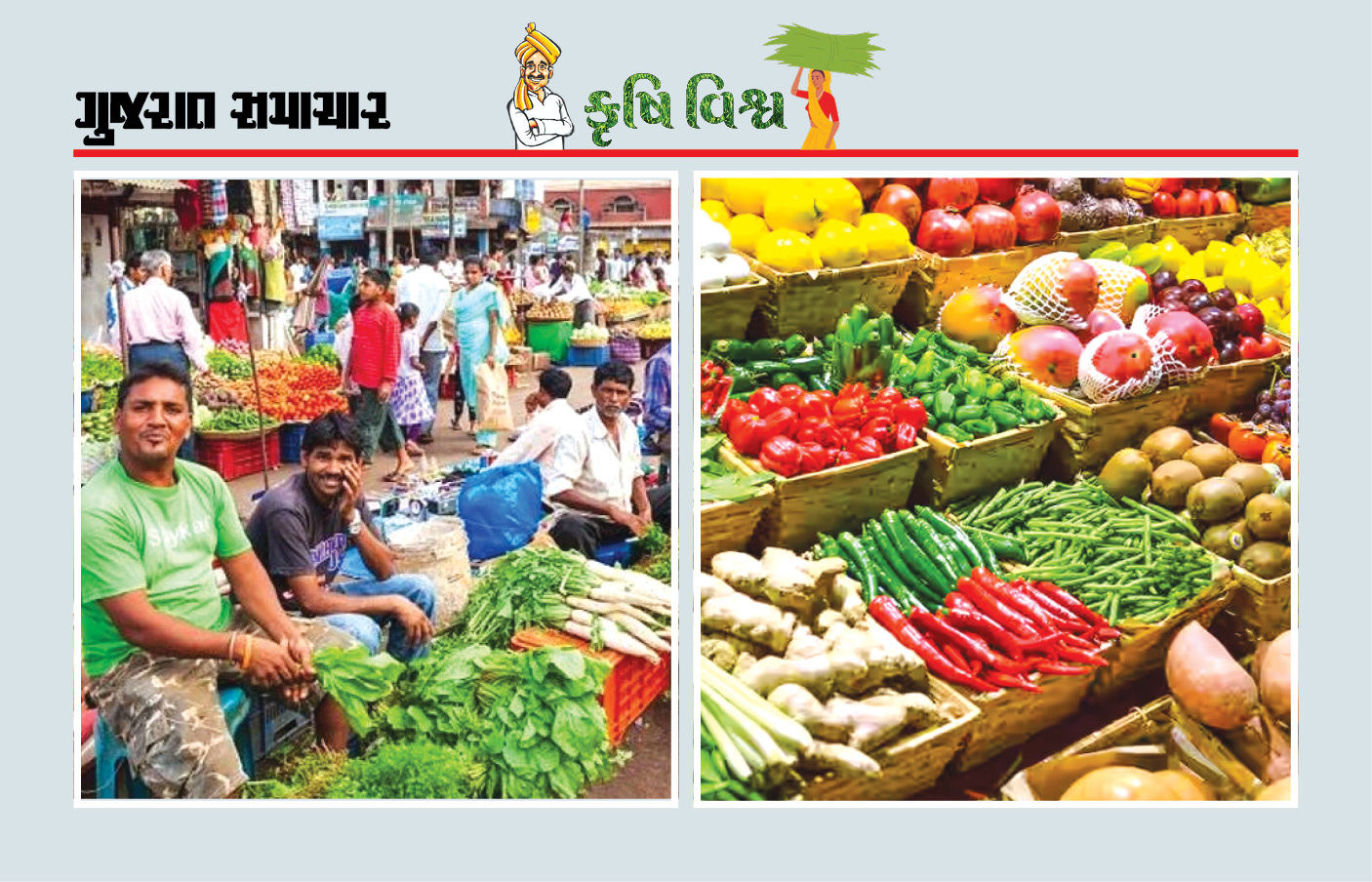 કેનિંગ અને પેકેજિંગ પણ અપનાવી જુઓ, આર્થિક ફાયદો થશે