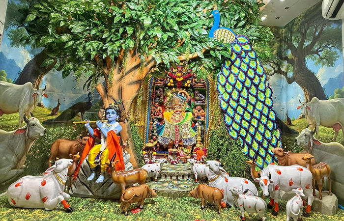 PHOTOS: જન્માષ્ટમીએ સાળંગપુરમાં કષ્ટભંજન દાદાનો ગોકુળની થીમ આધારિત શણગાર, કરો દર્શન