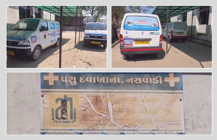 છોટા ઉદેપુર: સરકારી ઉદાસીનતાને કારણે 20 પશુ એમ્બ્યુલન્સ 8 મહિનાથી ધૂળ ખાઈ રહી છે, પશુપાલકો બેહાલ