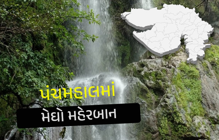 Gujarat Rain : જાંબુઘોડામાં 8 ઇંચ વરસાદથી જળબંબાકાર, 24 કલાકમાં 81 તાલુકામાં મેઘ મહેર