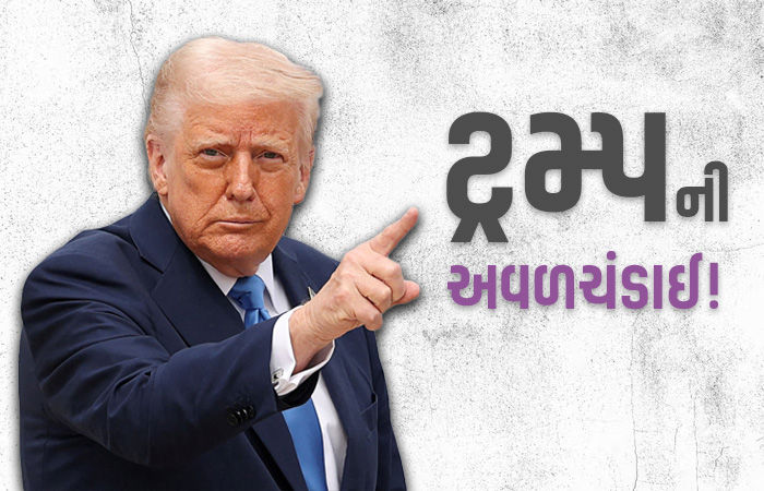ડોનાલ્ડ ટ્રમ્પે સામૂહિક ડિપોર્ટેશનની કવાયતમાં નડતર રૂપ 17 જજોને કારણ વગર કાઢી મૂક્યા
