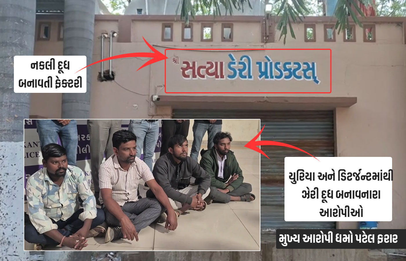 ડિટર્જન્ટ અને યુરિયાથી બનતું હતું 'ઝેરી' દૂધ, પ્રાંતિજમાં સત્યા ડેરી સામે કાર્યવાહી, 4ની ધરપકડ, મુખ્ય આરોપી ફરાર