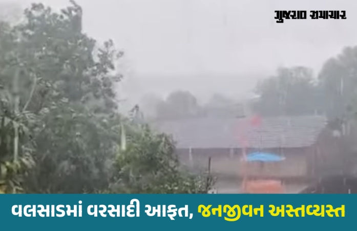 દક્ષિણ ગુજરાતમાં તોફાન સાથે વરસાદ, વાપીમાં વીજળી પડતા 2ના મોત, વૃક્ષો-વીજપોલ ધરાશાયી