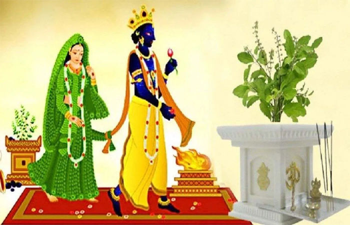 ગોહિલવાડમાં આજે શ્રધ્ધાભેર તુલસી વિવાહની પરંપરાગત ઉજવણી કરાશે