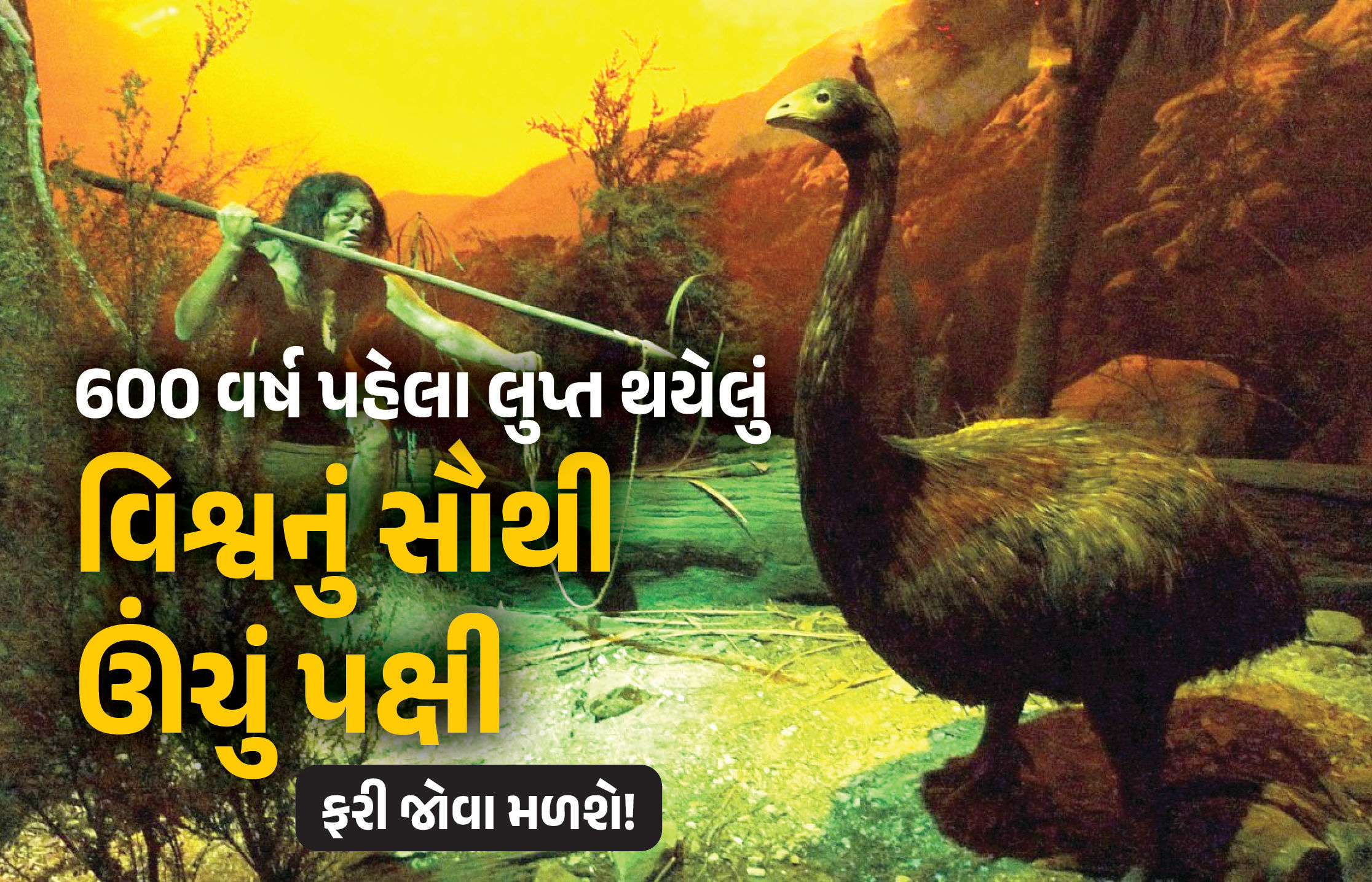‘ડાયર વરુ’ને જીવતા કર્યા બાદ હવે લુપ્ત થયેલા વિશ્વના સૌથી ઊંચા પક્ષી ‘મોઆ’ને જીવિત કરાશે, ફિલ્મમેકરે કર્યું રોકાણ