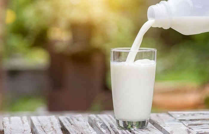 World Milk Day 2020 : જાણો, ગાય, ભેંસ અને બકરીના દૂધથી થતા ફાયદાઓ વિશે...