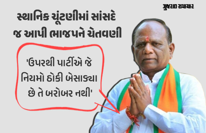 VIDEO: 'સ્થાનિક સ્વરાજ્યની ચૂંટણીમાં ભાજપ જ ભાજપને હરાવશે', સાંસદ મનસુખ વસાવાનું વિસ્ફોટક નિવેદન