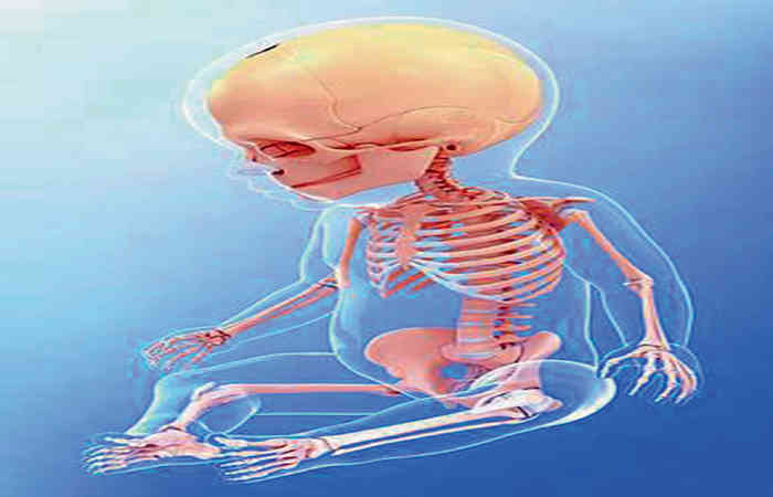 જન્મ લેતા બાળકોના 300 અસ્થિઓનું રહસ્ય