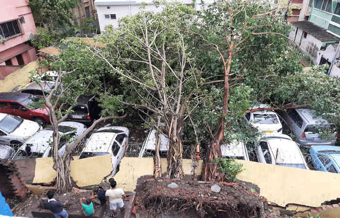 ઝંઝાવાતના કારમા ઘા .