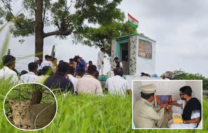 સૌરાષ્ટ્રમાં આવેલું છે વિશ્વનું એકમાત્ર સિંહણનું મંદિર, રોજ થાય છે પૂજા અને આરતી
