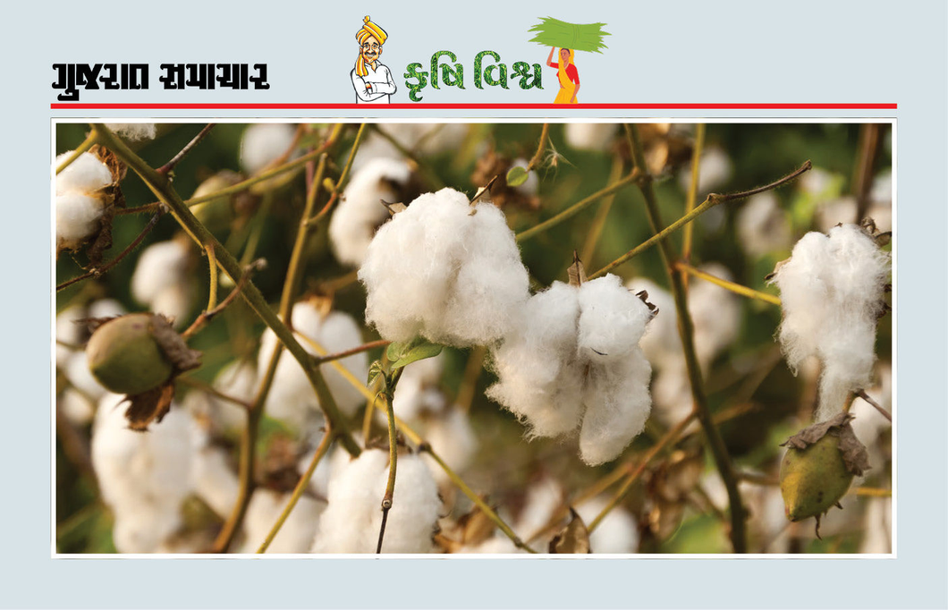 સતત એકના એક પાકનું વાવેતર ઉત્પાદન ઘટાડશે, આવક પણ ઘટાડશે