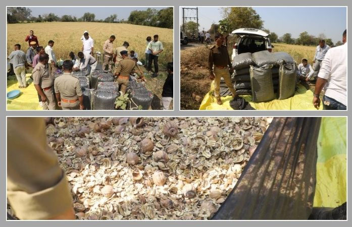 મહીસાગર પોલીસની મોટી કાર્યવાહી: લક્ઝરી કારમાંથી પોષ ડોડાનો જથ્થો ઝડપાયો, આરોપીઓ ફરાર