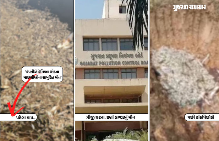 GPCBના ગાલ પર ફરી તમાચો! અમદાવાદ ગ્રામ્યના તળાવમાં ત્રીજી વખત માછલીઓના સામૂહિક મોત, કેમિકલનો ખેલ