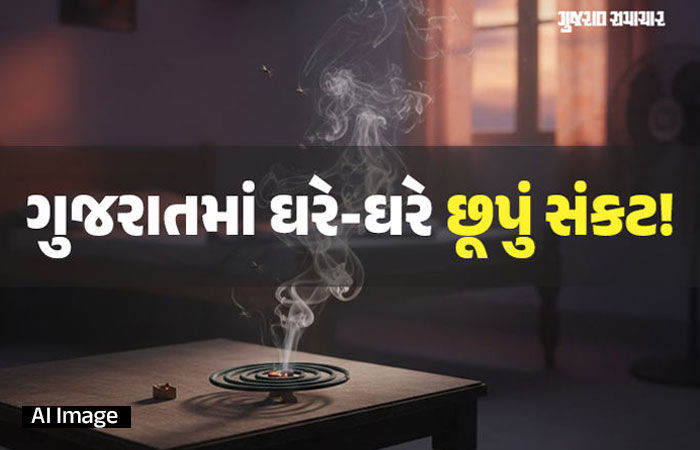 સાવધાન! 'હર્બલ'ના નામે 10 રૂપિયામાં વેચાતી મચ્છર અગરબત્તી પડી શકે છે મોંઘી, ગુજરાત ગેરકાયદે ઉત્પાદનનું હબ