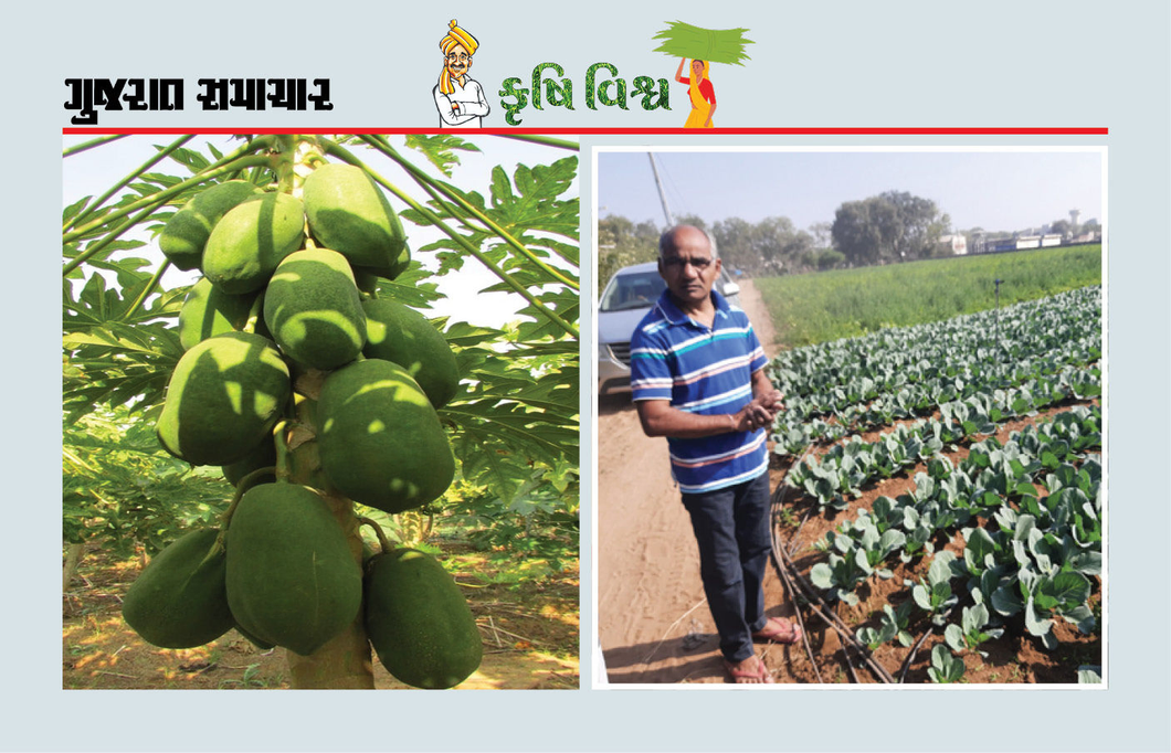 ‘ગોકૃપા અમૃતમ’ જમીનને ફળદ્રુપ બનાવશે, જાણો રીત