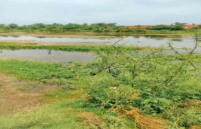 માઝુમ નદીમાં માછીમારી માટે  ટોટા ફોડતા યુવાનનુ મોત, કિશોરને ઇજા
