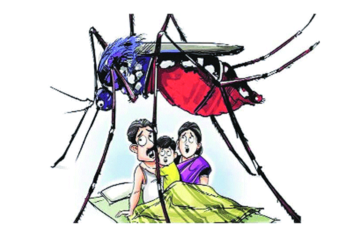 ભીલડી પંથકમાં લોકો ડેન્ગ્યૂ-ચિકન ગૂનિયાના અજગરી ભરડામાં સપડાયા