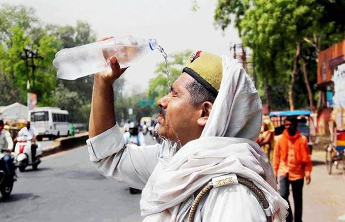Gujarat confronts climate crisis: Alarming heat waves, extreme weather