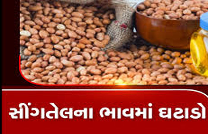 મગફળીના વિક્રમી વાવેતરના પગલે સૌરાષ્ટ્ર સિંગતેલના ભાવમાં કડાકો