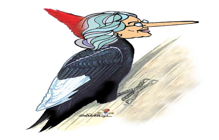 ડોશી બની લક્કડખોદ .