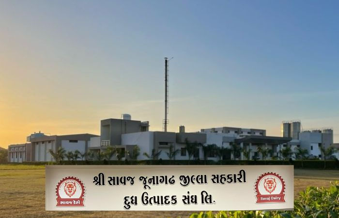 'જૂનાગઢની સાવજ ડેરીમાં કેમિકલવાળુ દૂધ પેકિંગ થાય છે', ભાજપ નેતા કિરીટ પટેલ પર ગોપાલ ઇટાલિયાનો આક્ષેપ