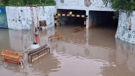 VIDEO: વલસાડ જિલ્લાને મેઘરાજાએ ફરી ધમરોળ્યું, વાપીમાં 7 ઇંચ વરસાદથી જળબંબાકાર