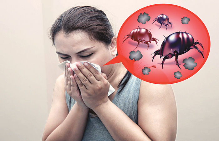 ધૂળની એલર્જી સામે સિપાહી બની જતા સુપરફૂડ્સ