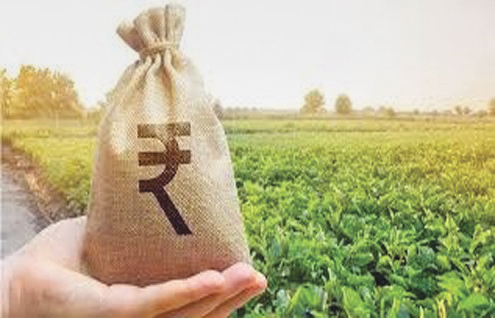 પ્રથમ ક્વાર્ટરમાં, ઘણી બેંકોની કૃષિ લોન NPA 10 % સુધી પહોંચી ગઈ